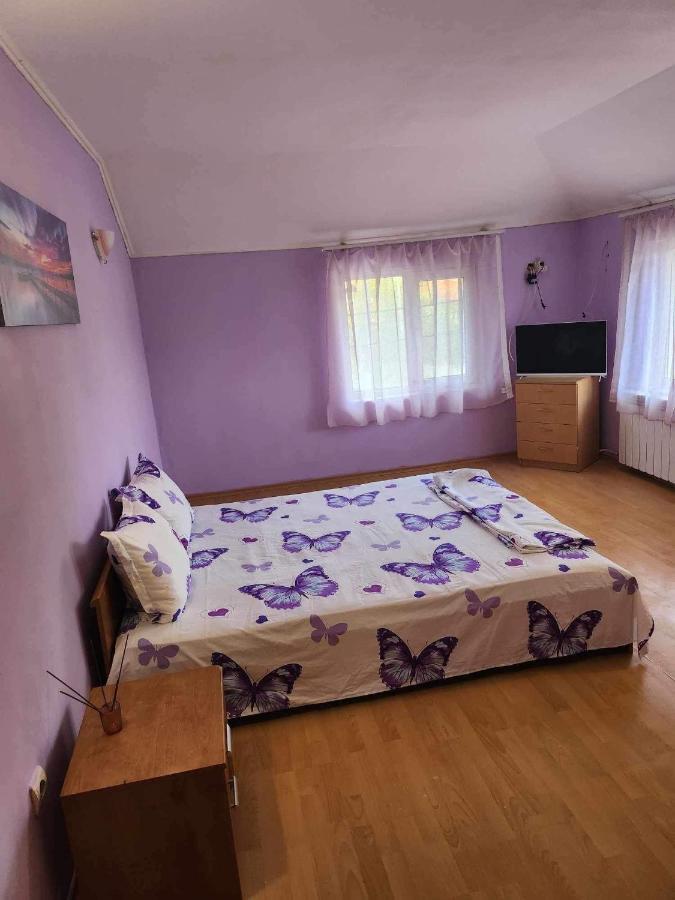 Guest House Iveta Sofia Exteriör bild